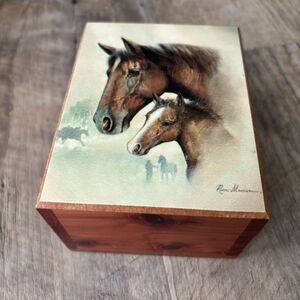 Mama Horse & Her Fowl Signed Horse Art Cedar Chest Trinket Box 5"L x 4"W x 2.5H
